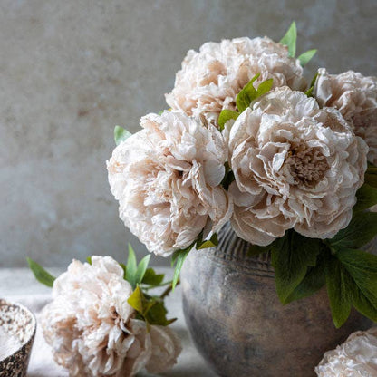 Evening Dew Peony Stem - Design Vintage