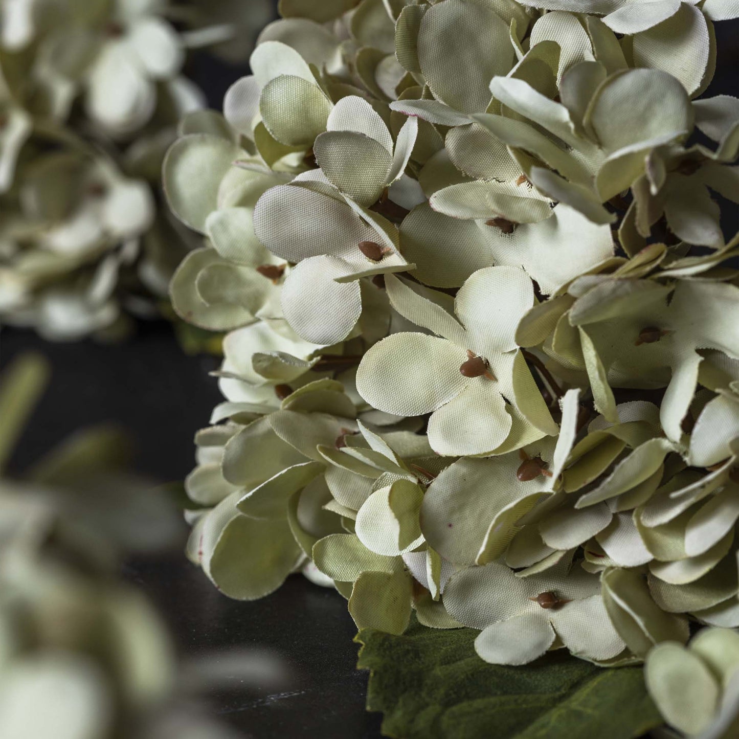 Soft Green Hydrangea - Design Vintage