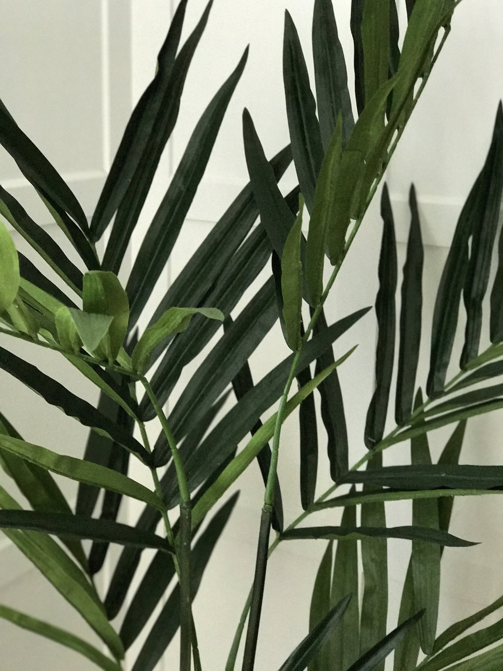 Tall Faux Kentia Palm - Design Vintage