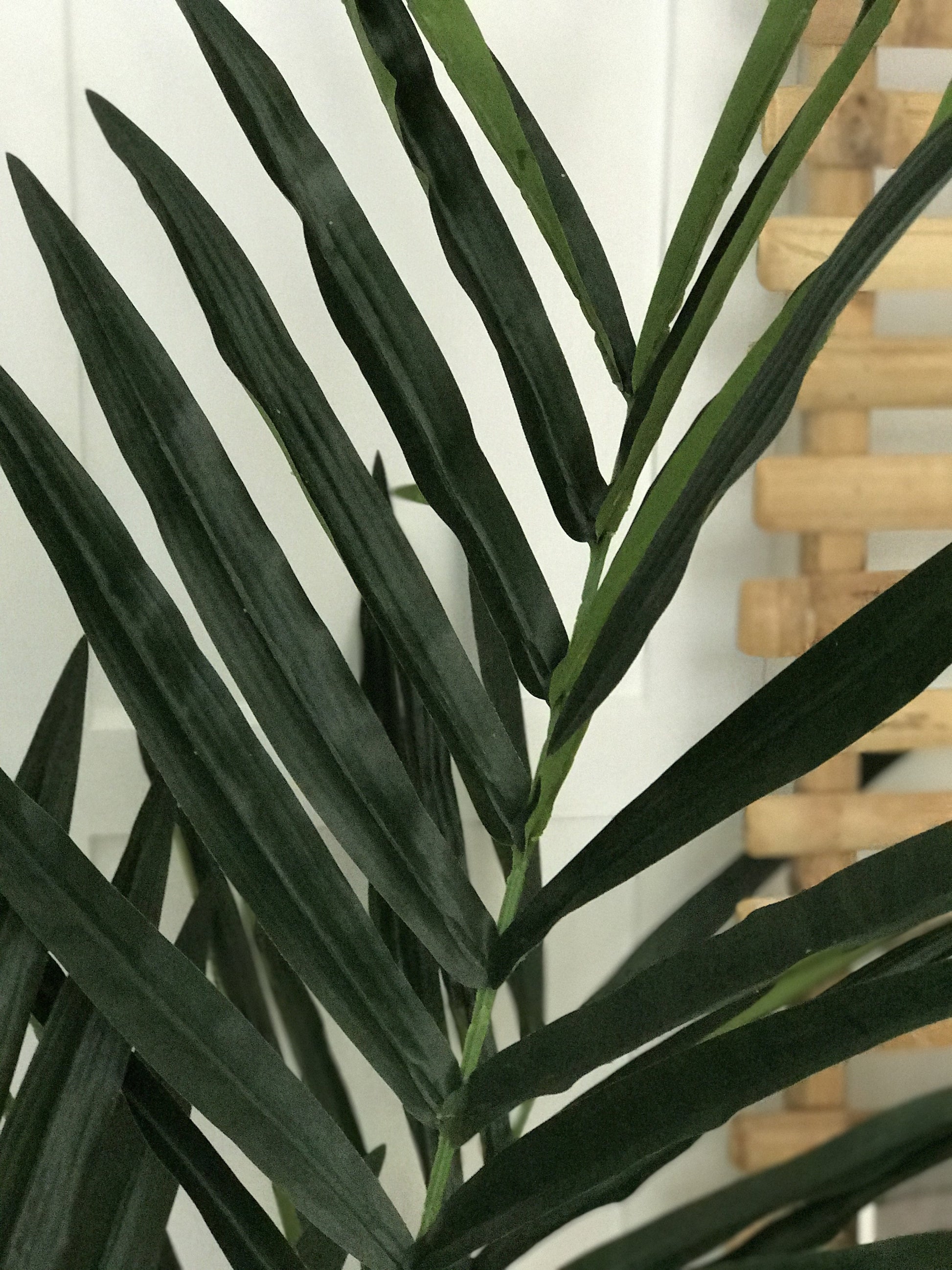Tall Faux Kentia Palm - Design Vintage