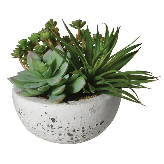 Succulents Arrangement - Design Vintage
