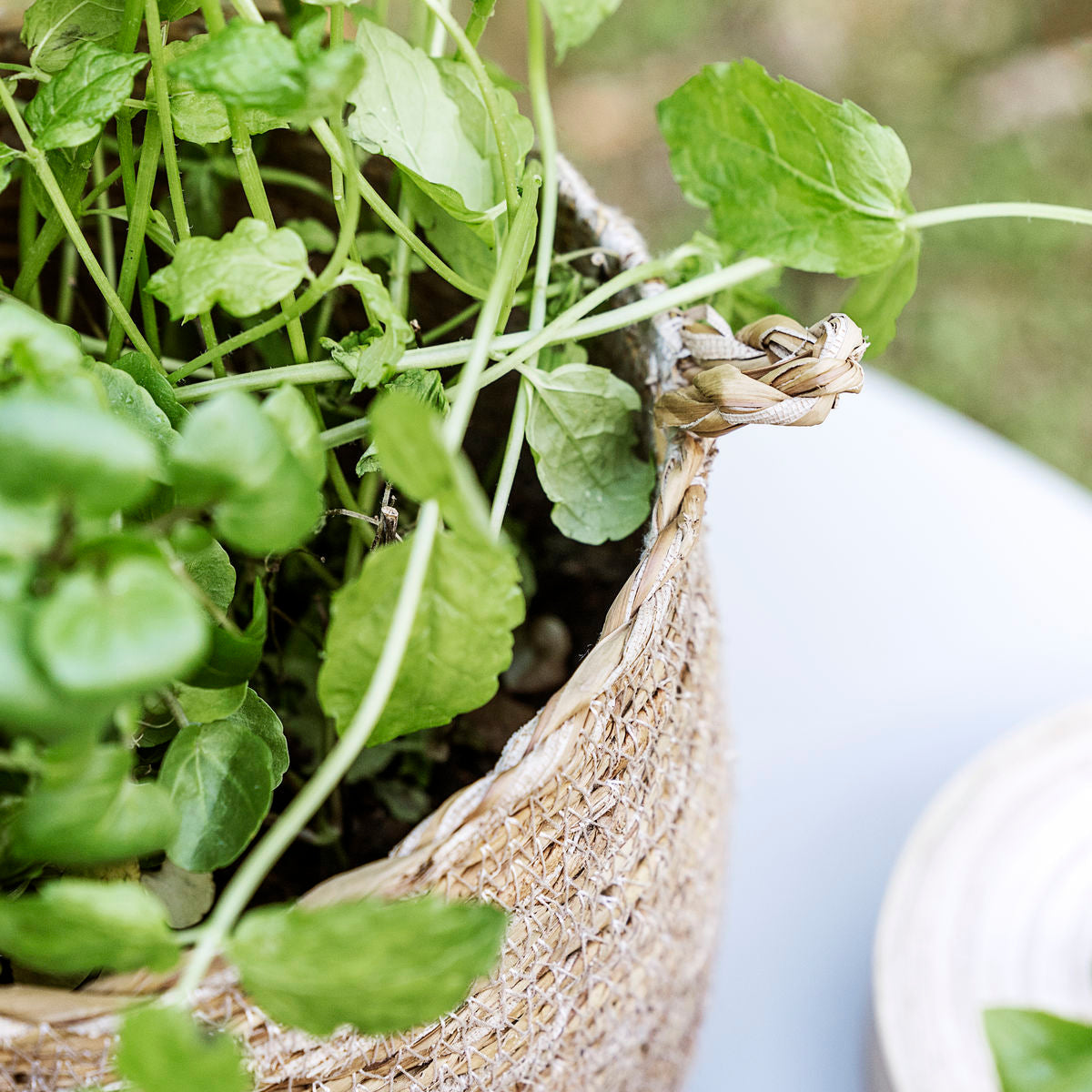 Natural Eva Basket - Design Vintage